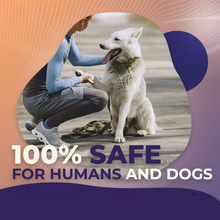 DogFri™ BarkControl: Ultraljuds Bark Kontrollera Och Utbildning Anordning