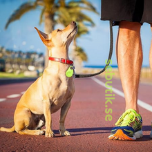 DogCatFri™ PetTracker - Bluetooth Husdjur Trådlös Spårare 