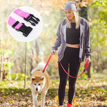 DogCatFri™ CarLeash 1+1 GRATIS: Justerbar Säkerhets Husdjur Bilbarnstol Par