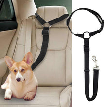 DogCatFri™ CarLeash 1+1 GRATIS: Justerbar Säkerhets Husdjur Bilbarnstol Par