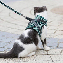 DogCatFri™ koppel - Anti-brytväst-Sele och kopplingsset