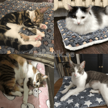 DogCatFri™ Pet Filt- Snuggly Husdjur Komfort Filt 