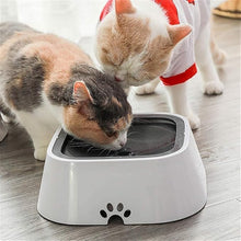 DogFri™ PetWater: Inget Stänk Husdjur Vatten Dispenser
