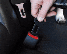 DogFri™ PawGuard 1+1 GRATIS: Hund Bil Säte Bälte
