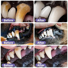 DogCatFri™ DentalPet: Husdjur Dental Reparation Och Rengöring Gel