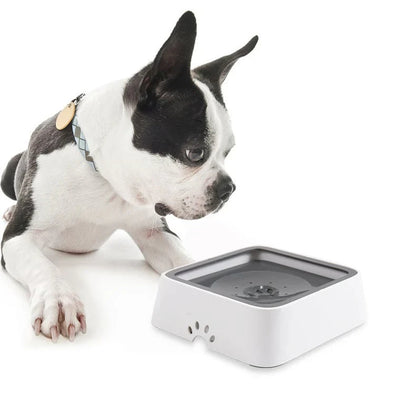 DogFri™ PetWater: Inget Stänk Husdjur Vatten Dispenser