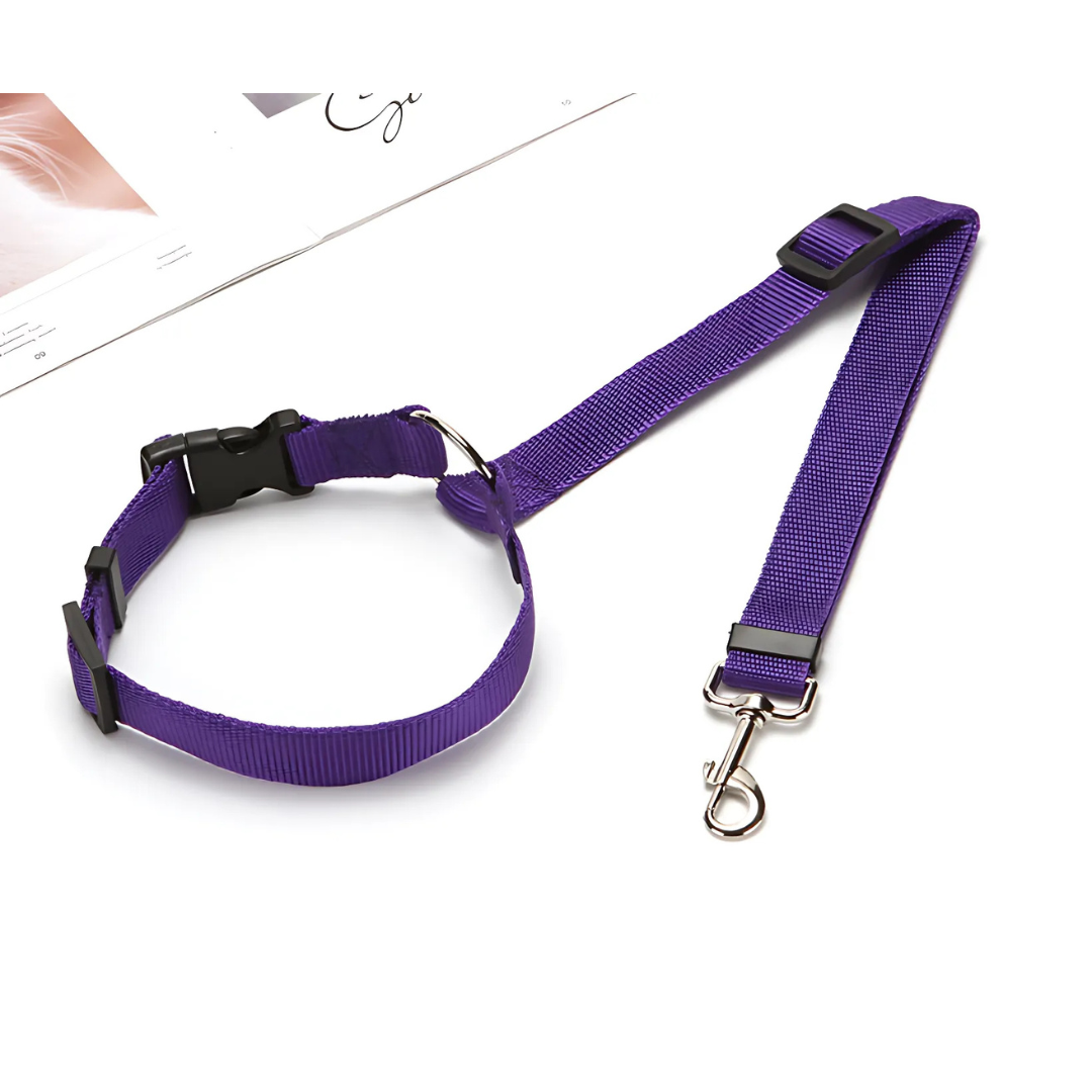 DogCatFri™ CarLeash 1+1 GRATIS: Justerbar Säkerhets Husdjur Bilbarnstol Koppel