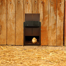 CoopDoor - Automatisk Kyckling Coop Dörr