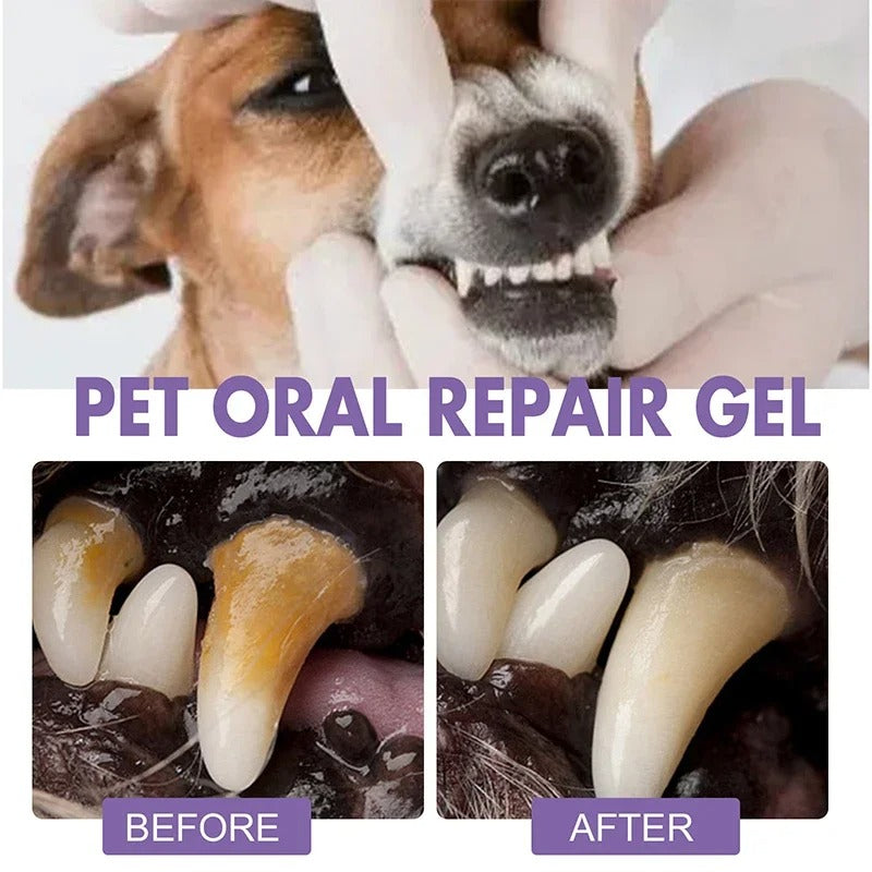 DogCatFri™  DentalPet: Husdjur Dental Reparation Och Rengöring Gel