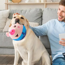 DogCatFri™ BouncingToy: Interaktiv Husdjur Studsande Plyschleksak Boll