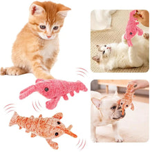 DogCatFri™ PlushToy - Interaktiva Plyschleksaker för husdjur