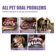 DogCatFri™ DentalPet: Husdjur Dental Reparation Och Rengöring Gel