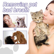 DogCatFri™ DentalPet: Husdjur Dental Reparation Och Rengöring Gel