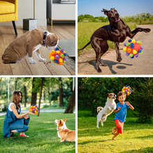 DogFri™ PetPuzzle - Interaktiv Pussel Spela Husdjur Leksak 