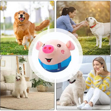 DogCatFri™ BouncingToy: Interaktiv Husdjur Studsande Plyschleksak Boll