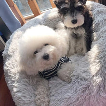 DogCatFri™ FurrySäng: Bekväm Och Lugnande Säng För Husdjur