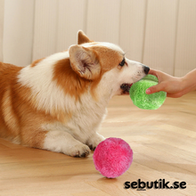 DogFri™ ActiveBall - Automatisk Rullande Kulor Mot Ångest 