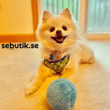 DogFri™ ActiveBall - Automatisk Rullande Kulor Mot Ångest 