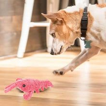 DogCatFri™ PlushToy - Interaktiva Plyschleksaker för husdjur