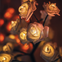 Leddi™ Rose - Forever Rose Blomma Lampa 