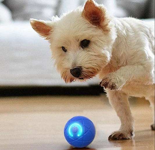 DogCatFri™ InteractiveBall: Uppladdningsbar Interaktiv Husdjur Leksak Boll
