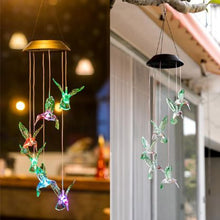 Ledsen™ GardenLights: Solenergi Driven Belysning Decorer