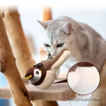 Catfri® FlappyBird: Interaktiv Sparv Fågel Leksak För catter