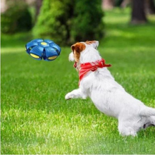 DogFri™ DiscBall 1+1 GRATIS - Doggy Skiv Boll Husdjursleksak