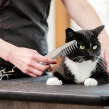 DogCatFri™ PetComb 1+1 GRATIS: Elektrisk Husdjur Grooming Comb