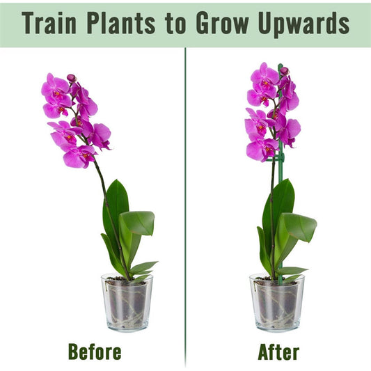 PlantSupport - Anläggning Tillväxt Stöd Insats Stativ