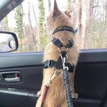 DogFri™ PawGuard 1+1 GRATIS: Hund Bil Säte Bälte