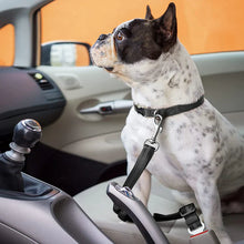 DogFri™ PawGuard 1+1 GRATIS: Hund Bil Säte Bälte