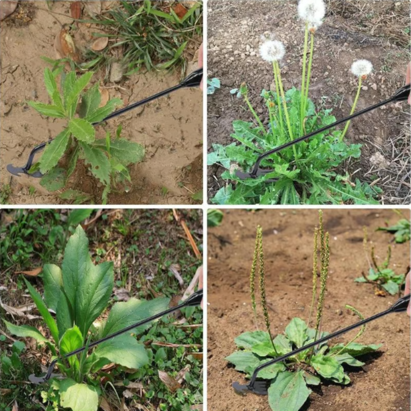 WeedRemover 1+1 GRATIS: Ergonomisk Ogräs Borttagning Trädgård Verktyg